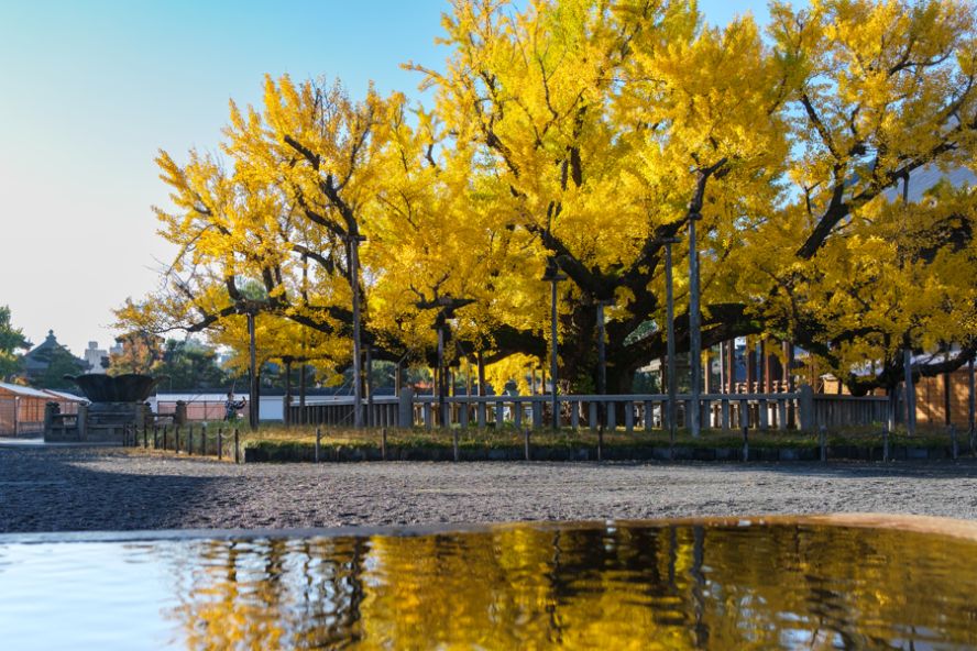 Nishi Hongan-ji Temple