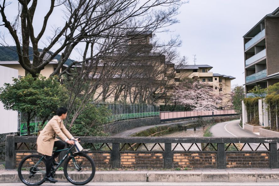 Kyoto's sakura season ends