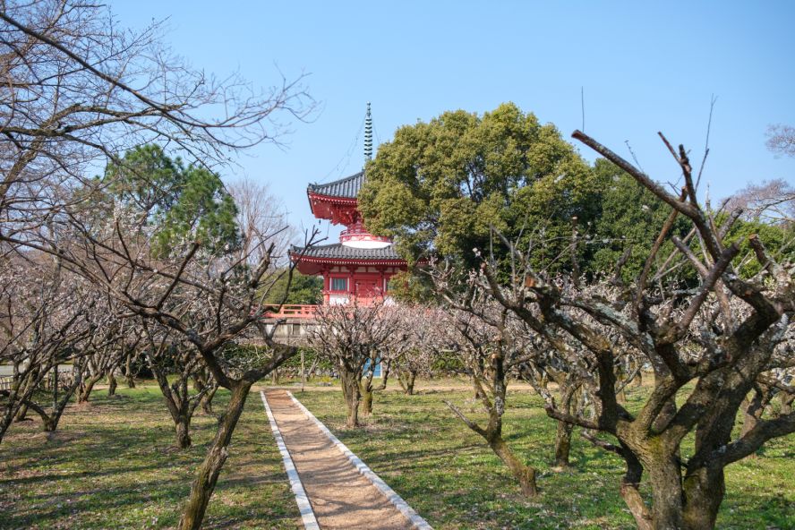 Daikaku-ji Temple