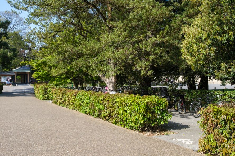 Kyoto Imperial Palace