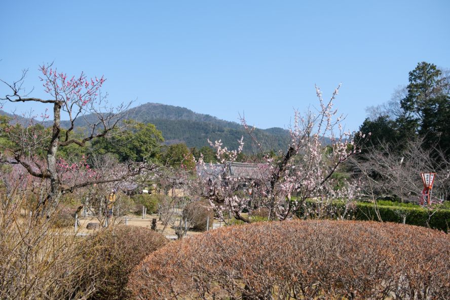 Zuishin-in