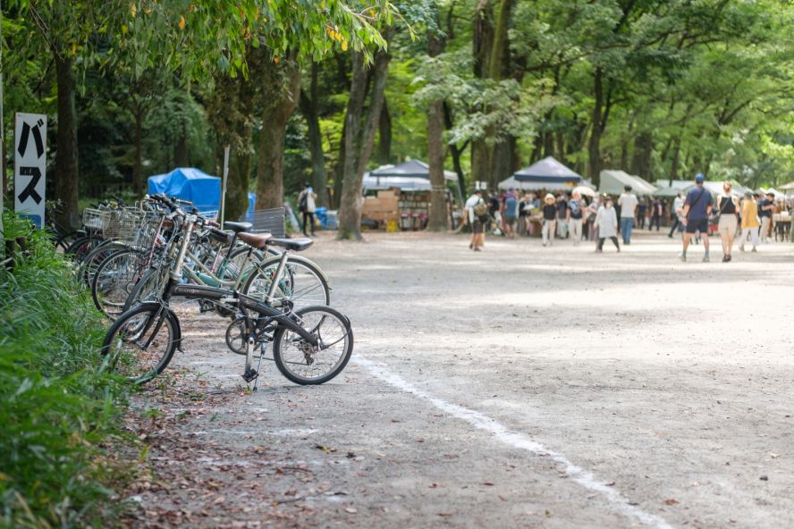 Tadasu no Mori Forest