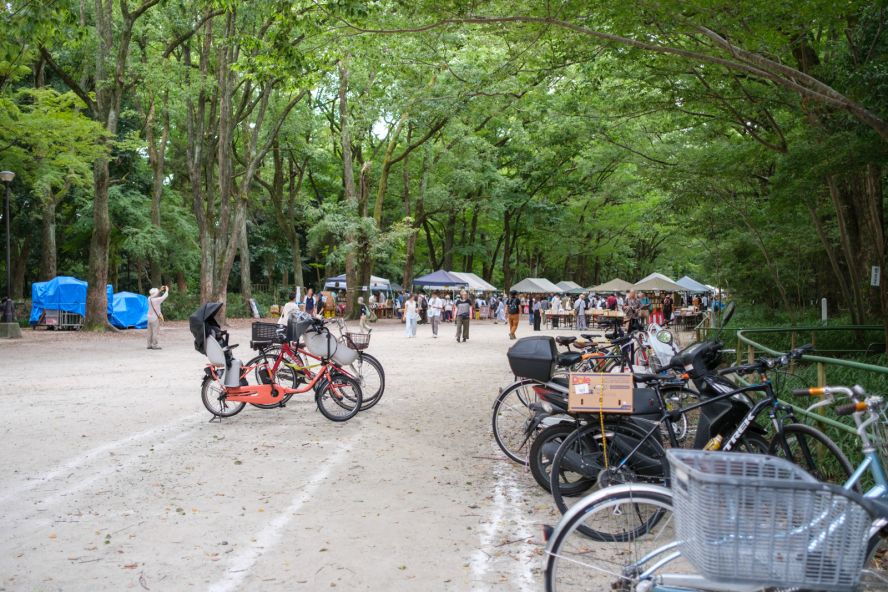 Tadasu no Mori Forest