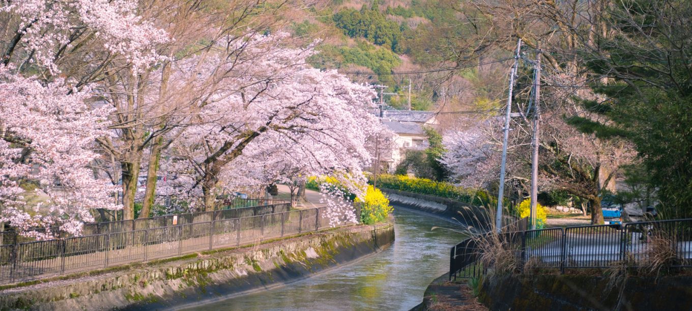 Lake Biwa Yamashina Canal