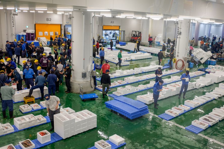 Kyoto Central Wholesale Market Observation Area