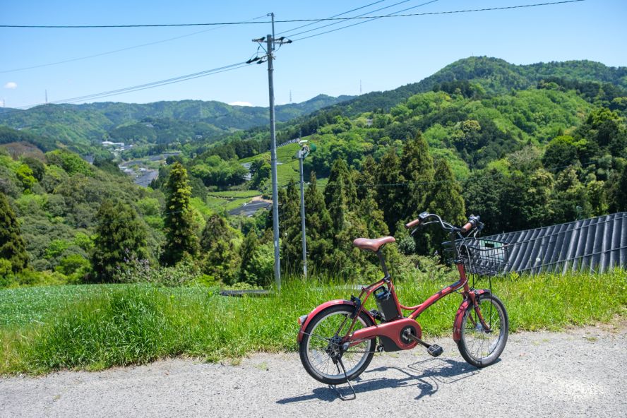 Wazuka Tea Plantations