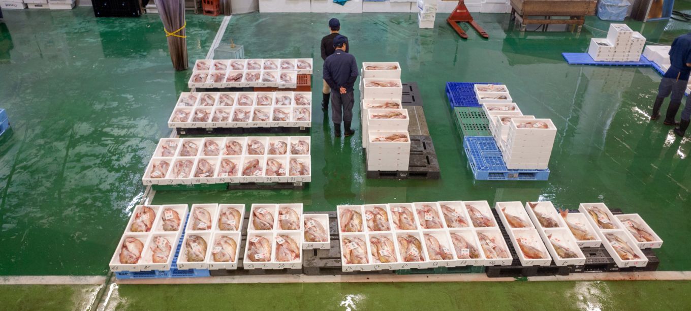 Kyoto Central Wholesale Market Observation Area