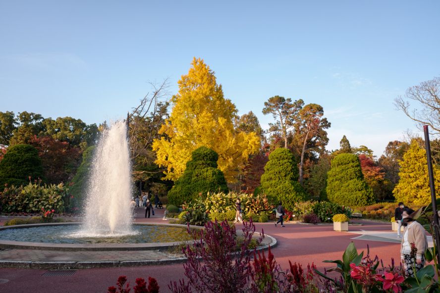 Kyoto Botanical Gardens