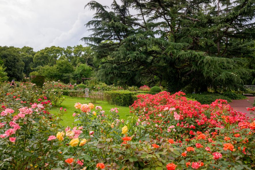 Kyoto Botanical Gardens