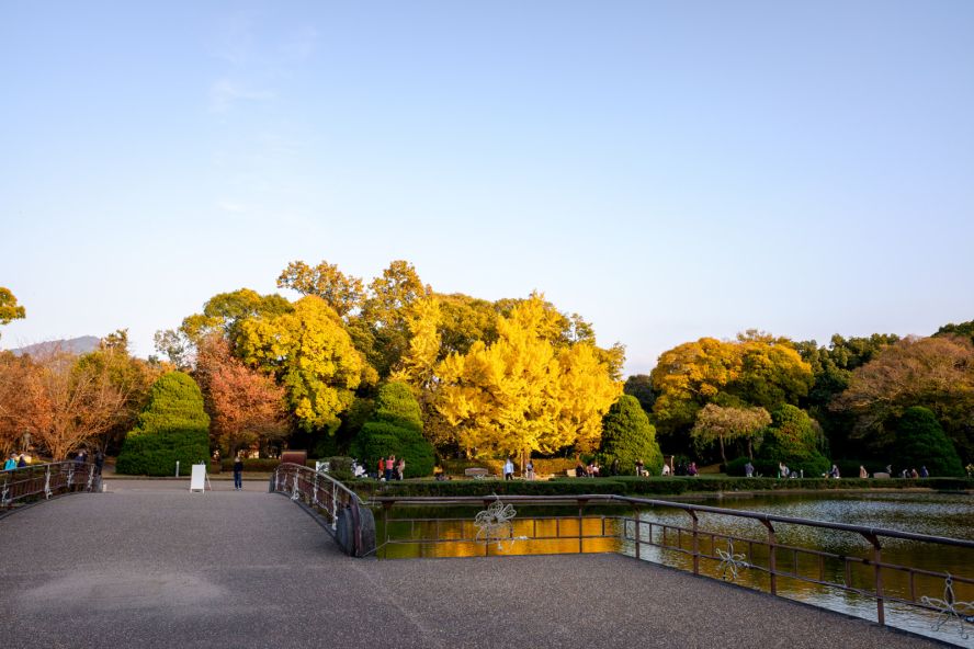 Kyoto Botanical Gardens