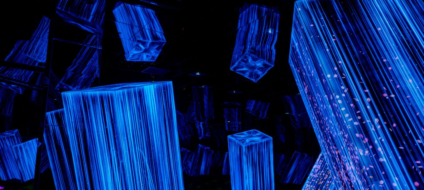 teamLab Biovortex Kyoto