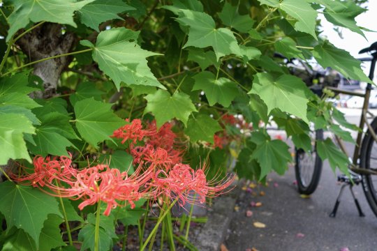 Picture from Instagram