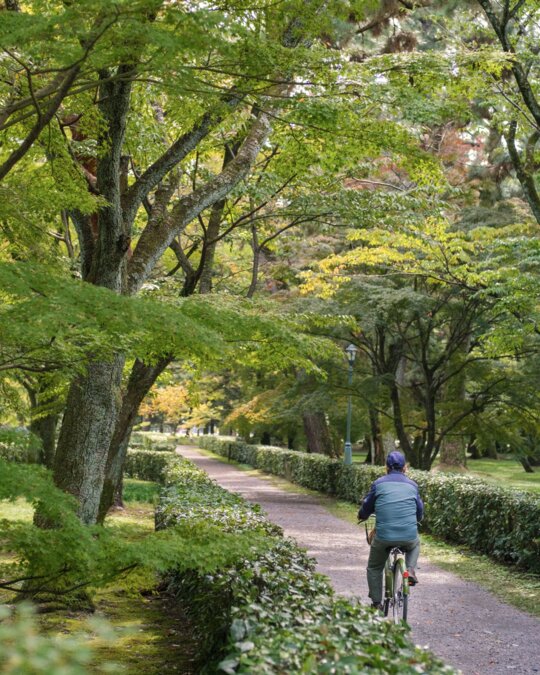 Picture from Instagram