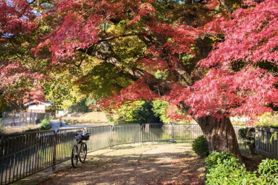 Picture from Instagram