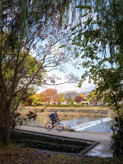 Picture from Instagram