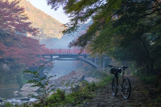 Picture from Instagram