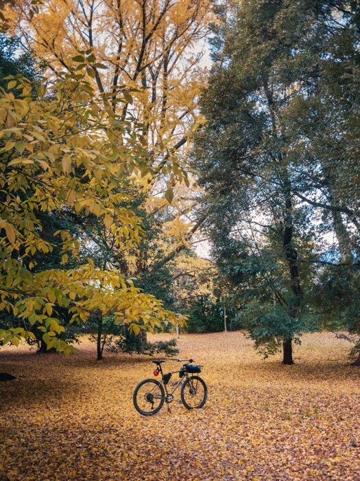 Picture from Instagram